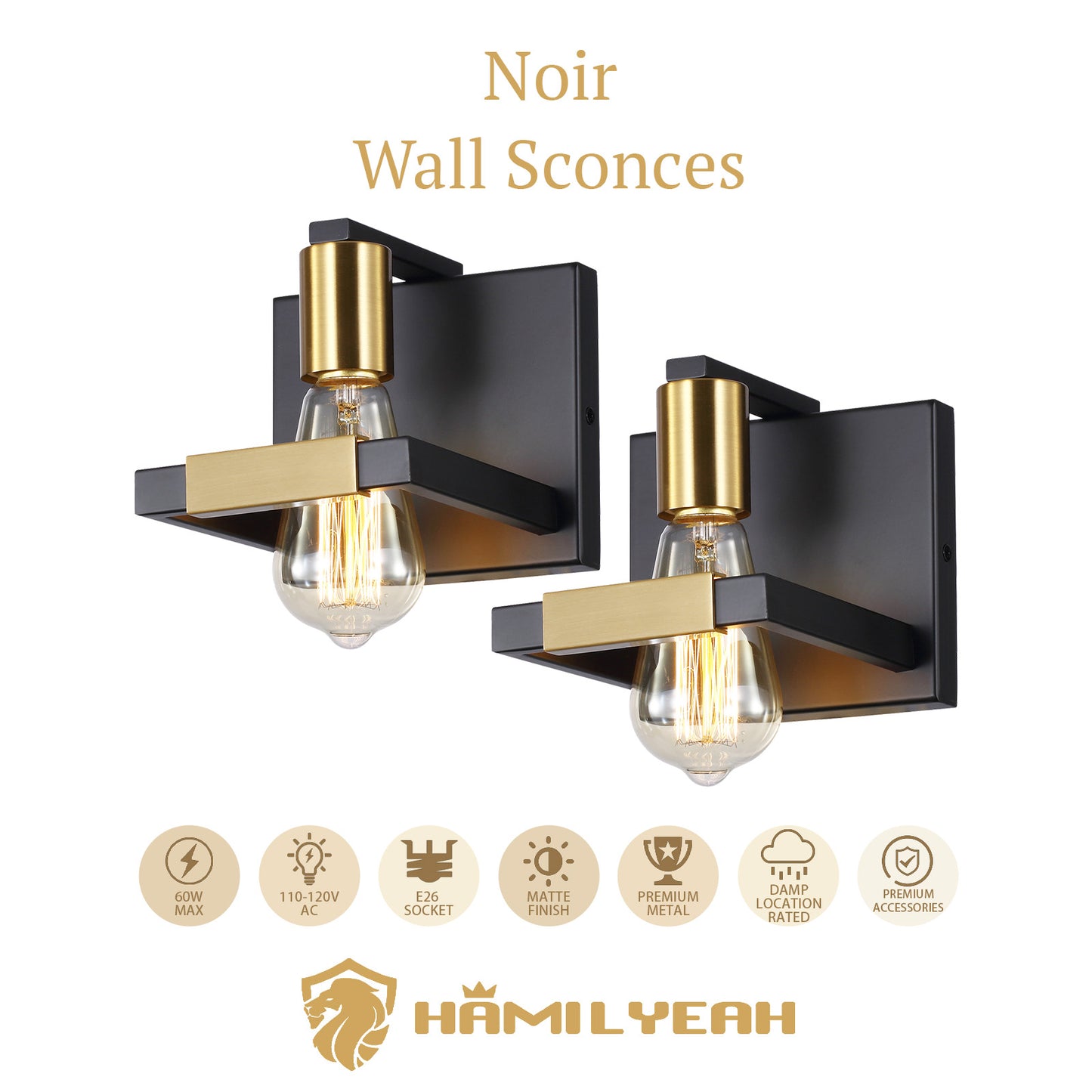 Noir Matte Industrial Wall Sconce set of 2