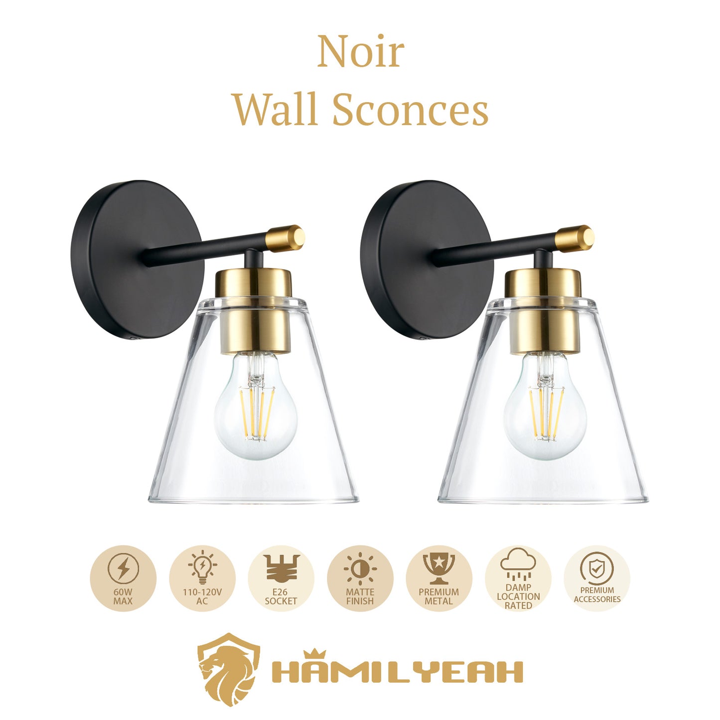 Noir Wall Sconce With Trangle Glass Shade