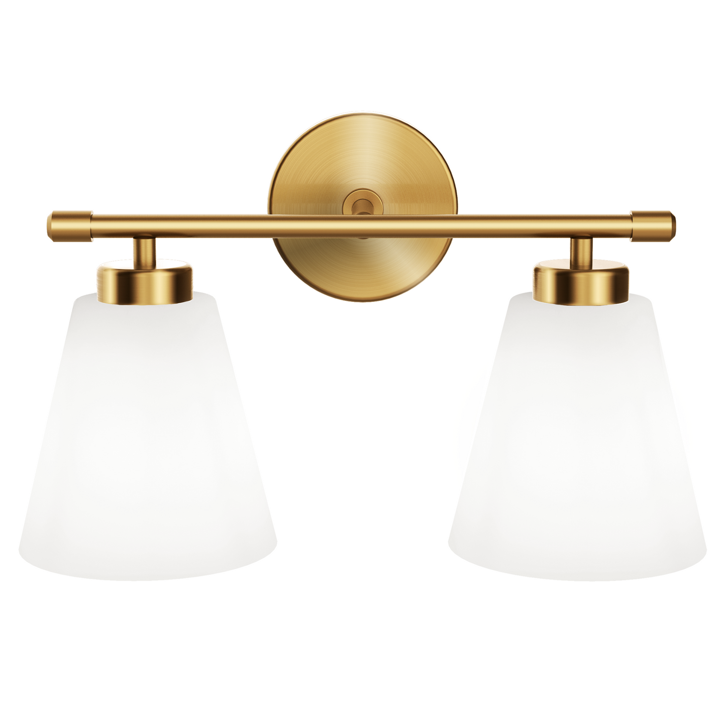 Aurelia 2-Light Fixture with Frosted Glass Shade
