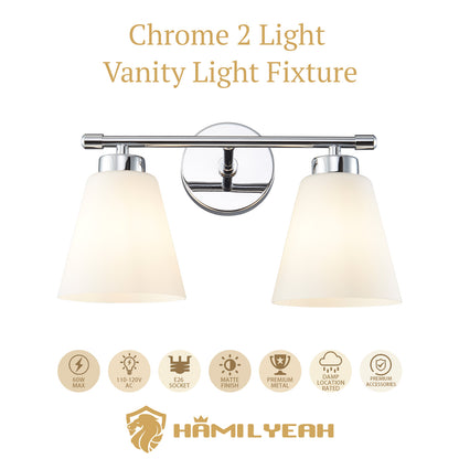 Chrome Vanity Light Fixture with Frosted Milk Glass Shade