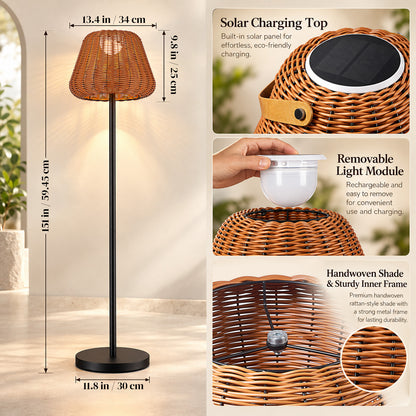 Lumora 59 Inch Solar Outdoor Floor Lamp with Portable Lantern