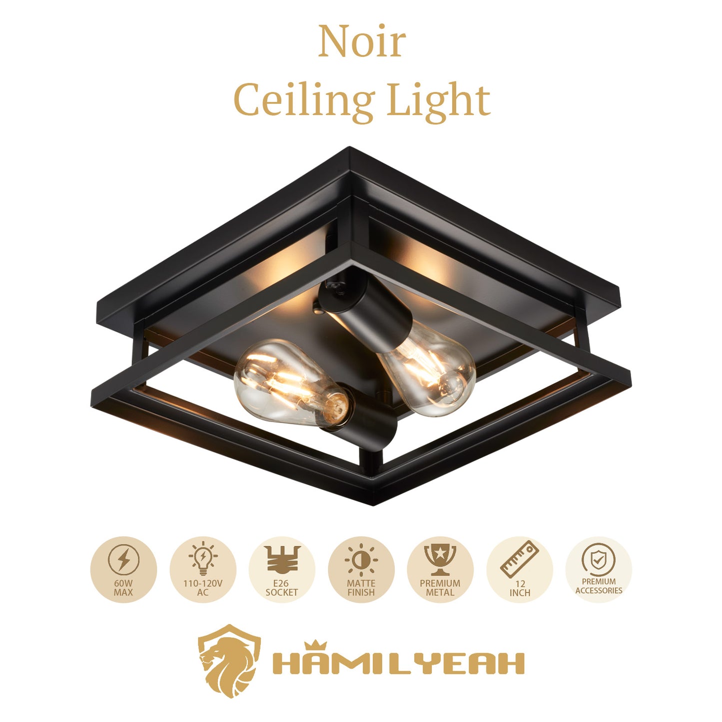 Noir Farmhouse Ceiling Light Fixture