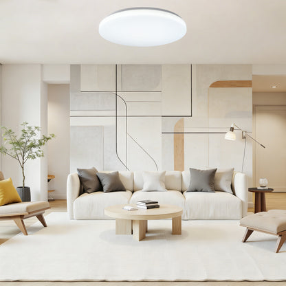 LED 20inch 48W Dimmable Flush Mount Ceiling Light 5CCT