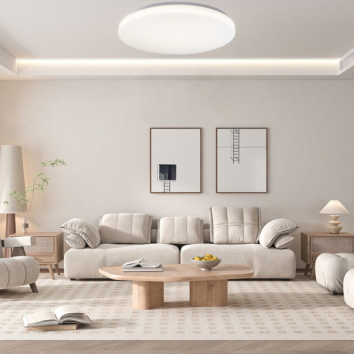 LED 20inch 48W Dimmable Flush Mount Ceiling Light 5CCT