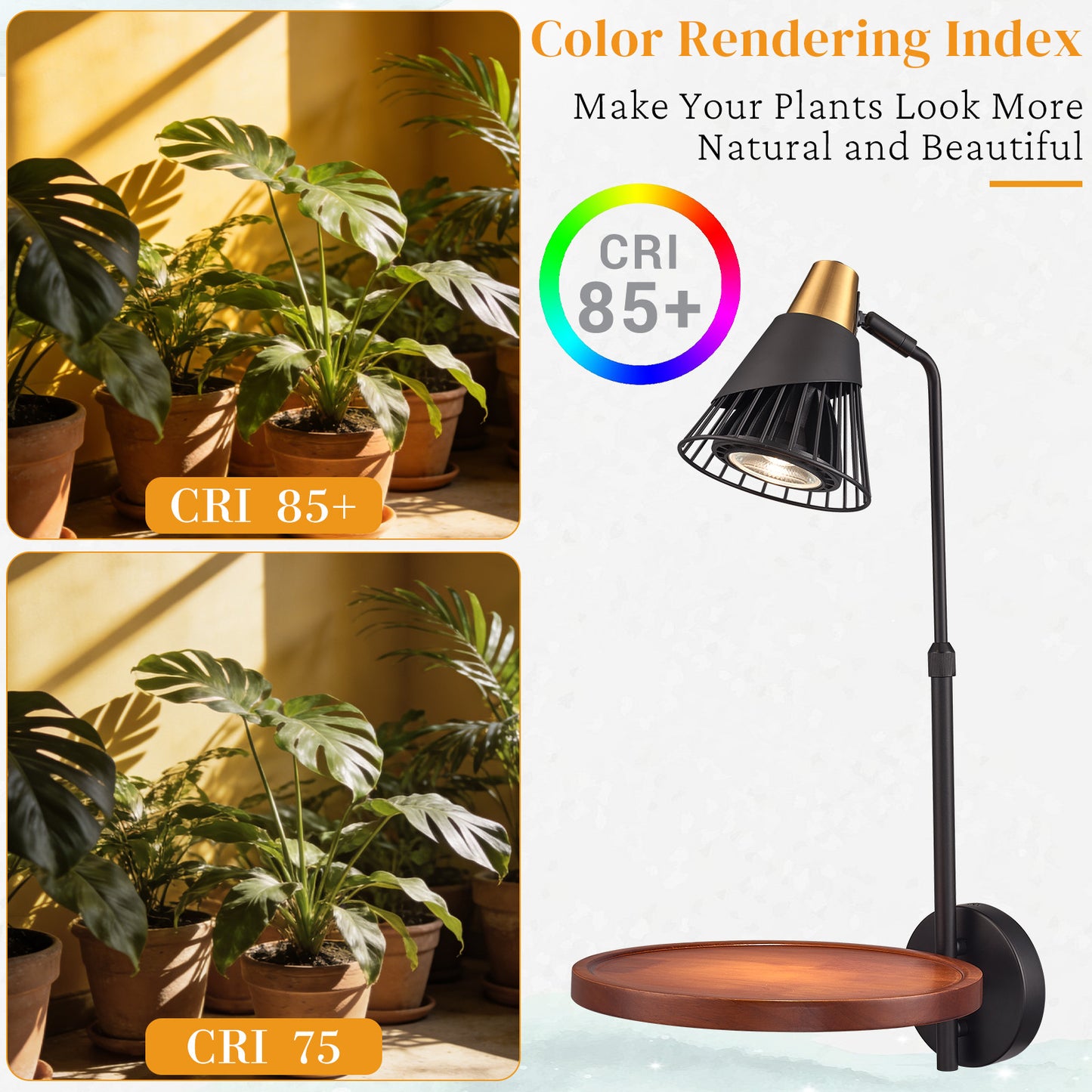 Aurelia  Plug in Black Wall Light with Shelf