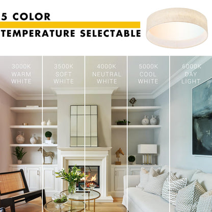 Aeris 12 inch Flush Mount 5CCT