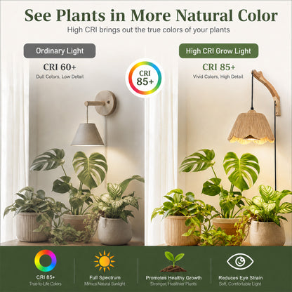 Aurelia Boho Hanging Grow Light Wall Sconce with 18W Bulb