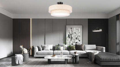 Aeris 20 Inch 48W LED Semi Flush Mount Ceiling Light