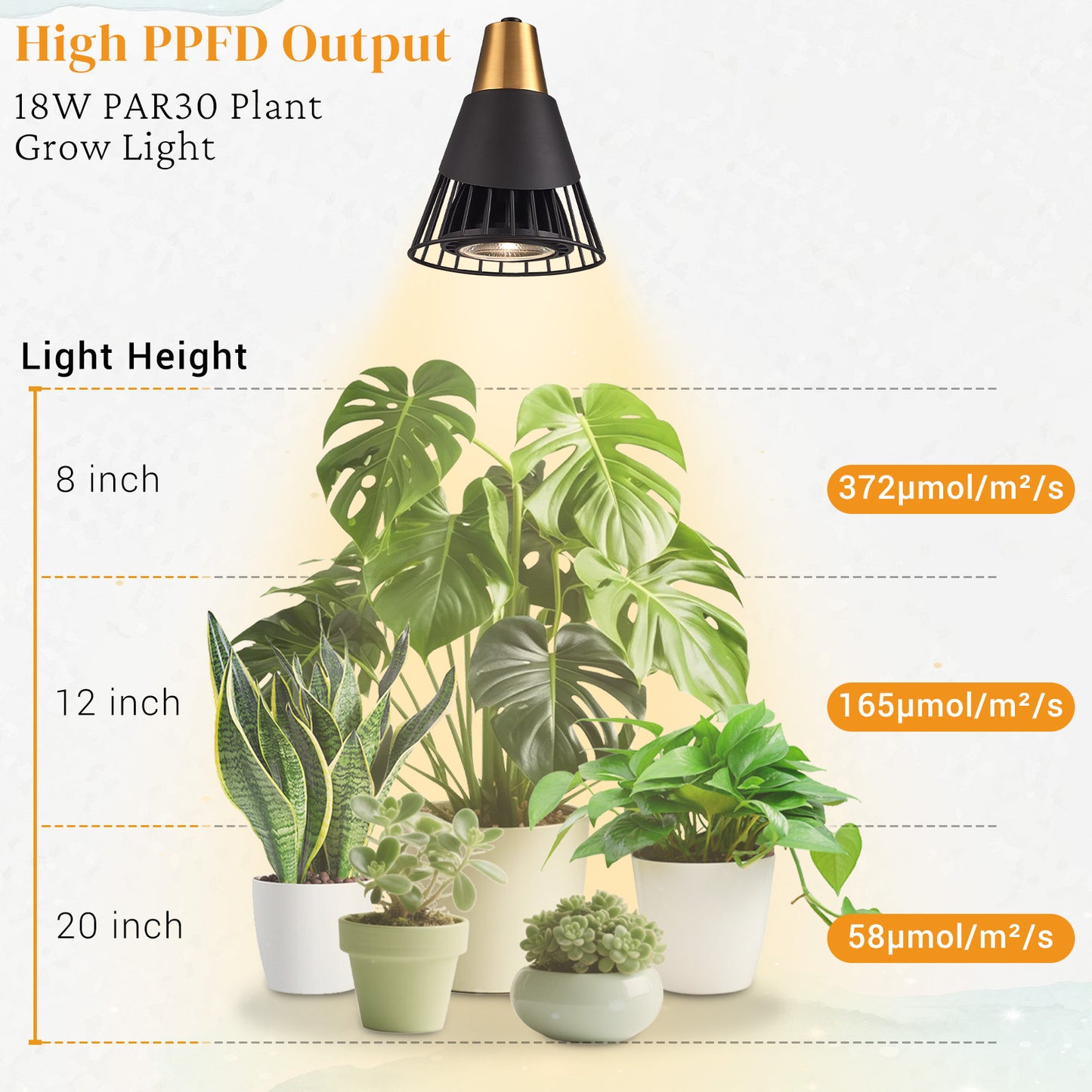 Aurelia  Plug in Black Wall Light with Shelf