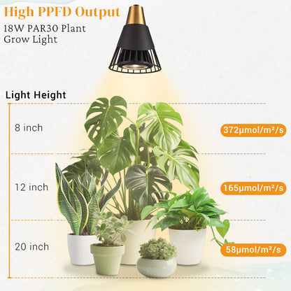 Aurelia  Plug in Black Wall Light with Shelf